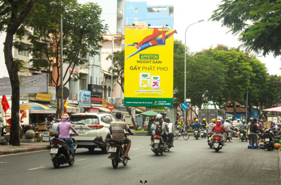 Hải Thượng Lãn Ông - Phùng Hưng, Quận 5, Tp. Hồ Chí Minh